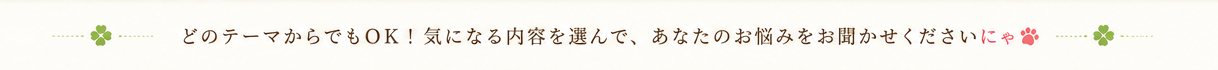 どのテーマからでもOK